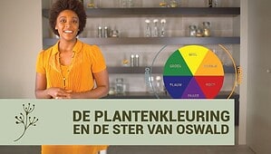 VIDEO 5 | De plantenkleuring en de ster van Oswald